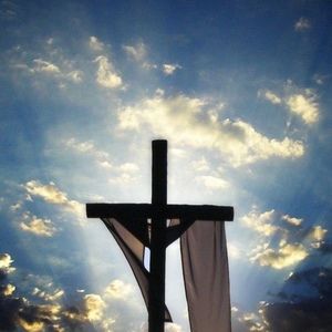 Meet your Posher, Online